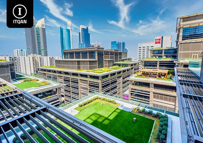 تأسيس شركة في الفري زون